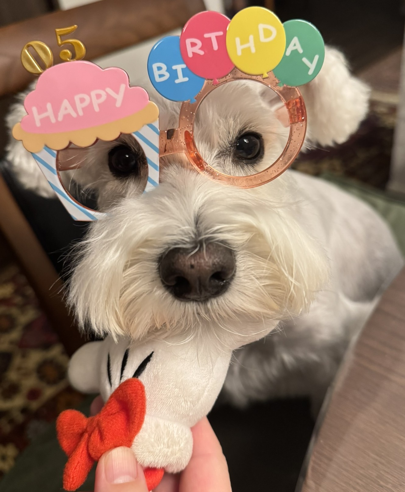 HAPPY BIRTHDAY POPPO