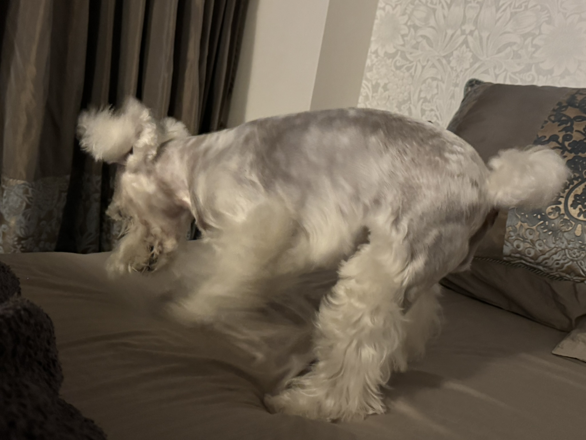 体勢を変えるPOPPO