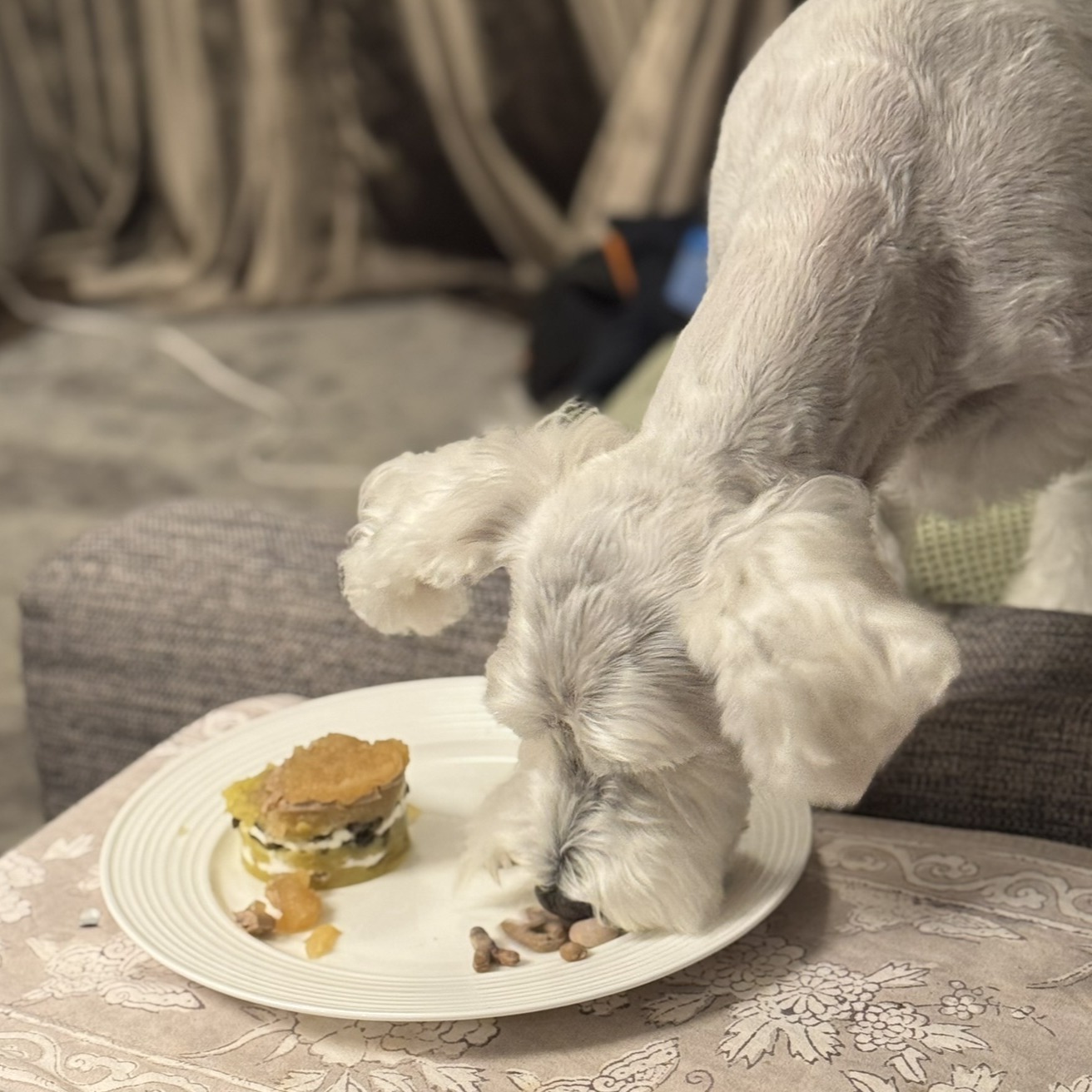 ケーキを崩しながら食べるPOPPO