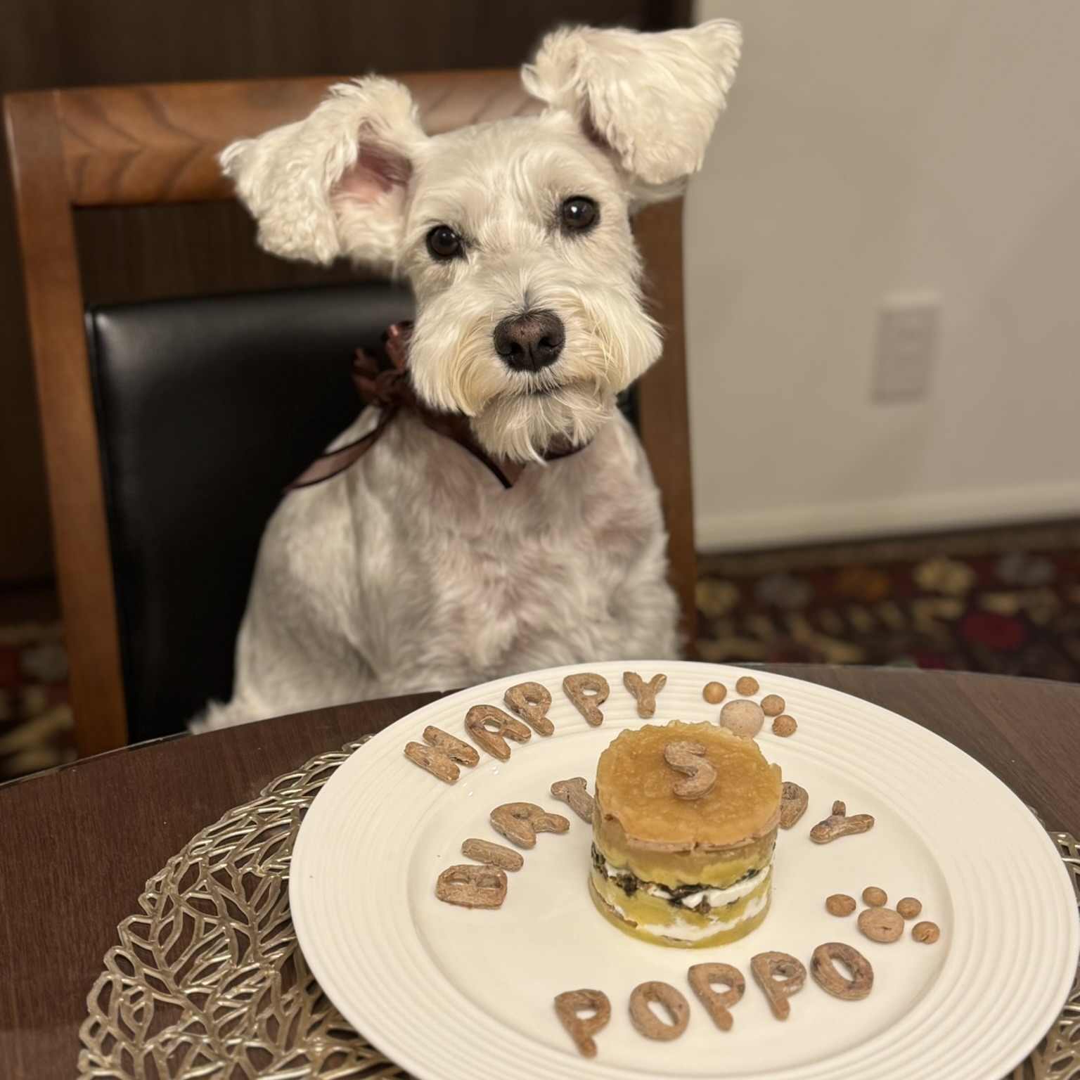 ケーキの前で待っているPOPPO