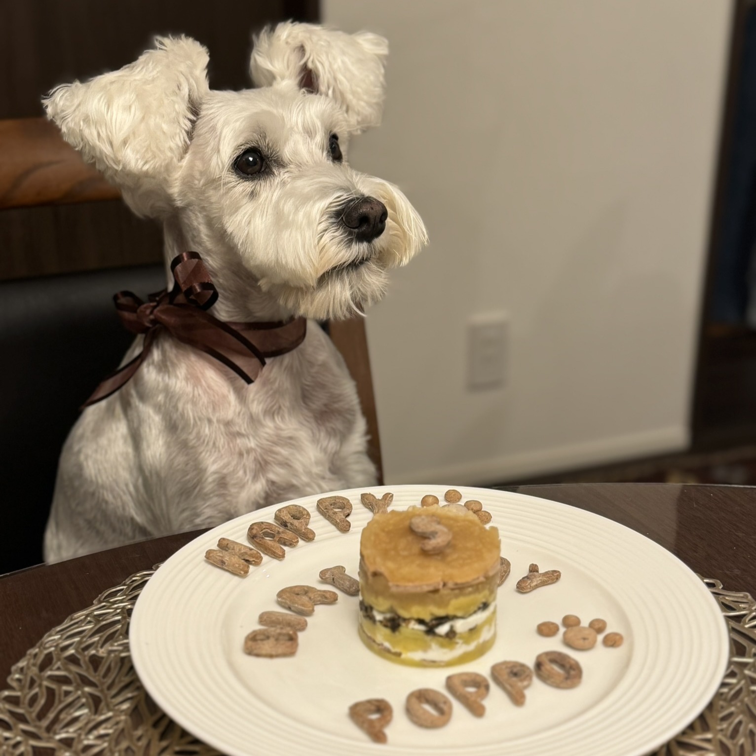 ケーキの前で不機嫌そうにしているPOPPO