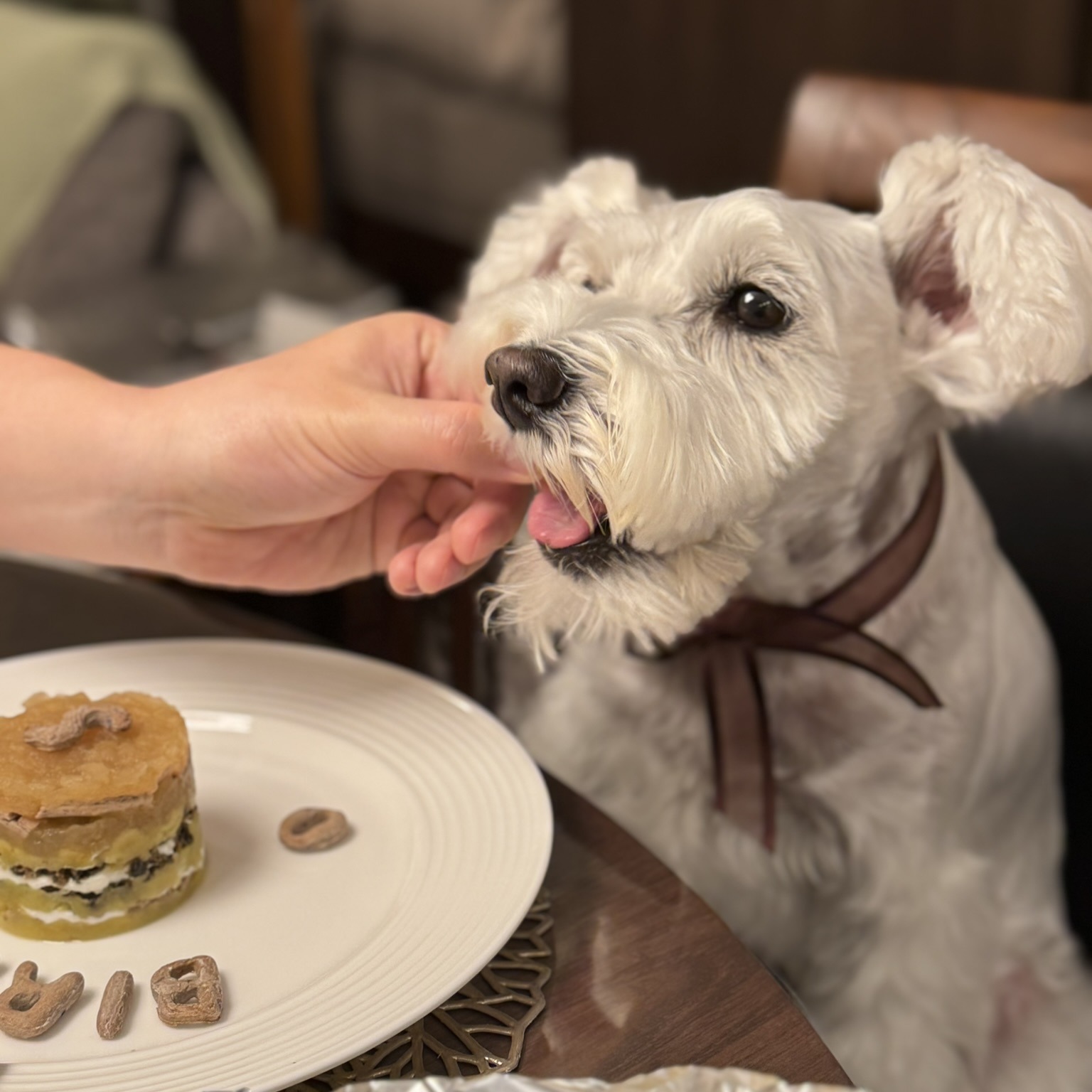 クッキーを一つ手渡し
